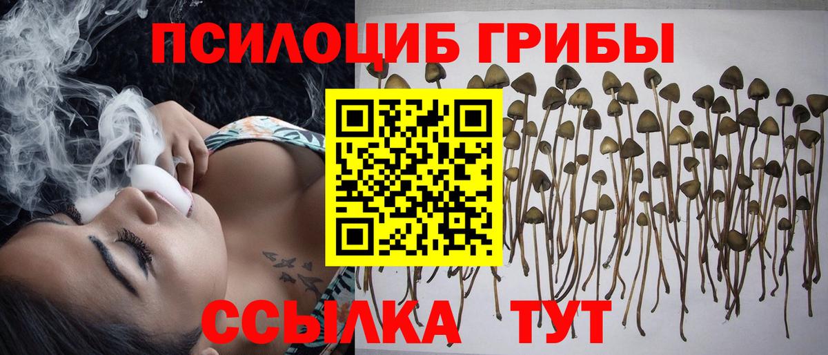 Галлюциногенные грибы ЛСД  Вход с VPN  Галлюциногенные грибы мицелий  Санкт-Петербург 